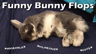 Five Minutes of Funny Bunny Flops [upl. by Attenauq]