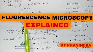 fluorescence microscopy  Mechanism  Advantages and disadvantages [upl. by Marwin]