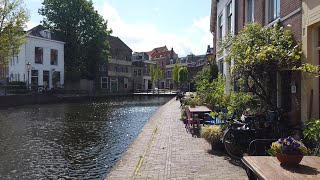 Walking in Schiedam 🌤️ Rotterdam Metro Area  The Netherlands  4K60 [upl. by Ateval]