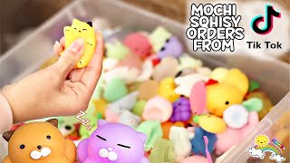 Mochi Squishy Orders from TIKTOK [upl. by Tcideneb]