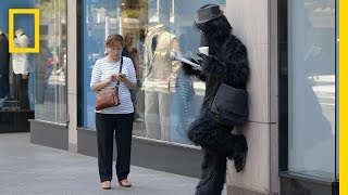 Walking While Texting  Crowd Control [upl. by Noman980]