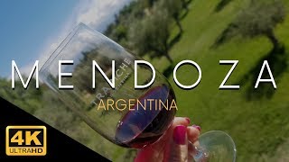 Mendoza Argentina City amp Wineries 4k [upl. by Suoivatco]