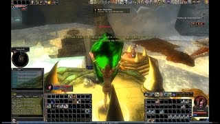 DDO  Beginners Guide to the Gingerspyce Druid Build 1 L3 FirstLifer Solo Elite Miserys Peak [upl. by Analos210]