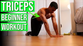 8 Home Tricep Exercises for Beginners — NO EQUIPMENT Workout Routine [upl. by Artemisia]