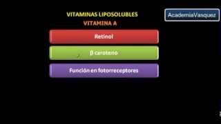 Vitaminas Liposolubles Vitamina A [upl. by Eerrahs]