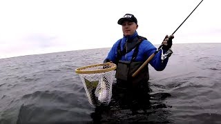 VÅRFISKE efter HAVSÖRING på kusten  Första vloggen [upl. by Hesky124]