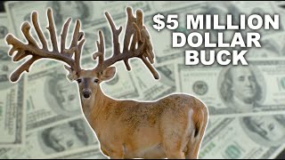 Multi Million Dollar Buck at Blackjack Whitetails [upl. by Catto]