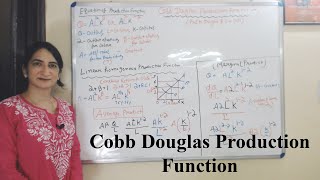 Cobb Douglas Production Function [upl. by Yecrad]