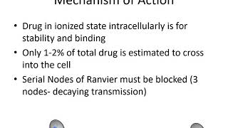 Local Anesthetics Pharmacology  Dr Bauereis [upl. by Dnartreb]