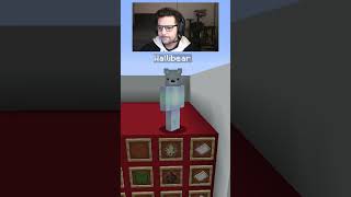 WALLIBEAR TAKES ON MOB ARENA gaming ⁠youtube funny minecraft memes tiktok shorts ytshorts [upl. by Norud]