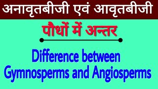 Difference between Gymnosperms and Angiosperms  अनावृतबीजी एवं आवृतबीजी पौधों में अन्तर  biology [upl. by Cody]