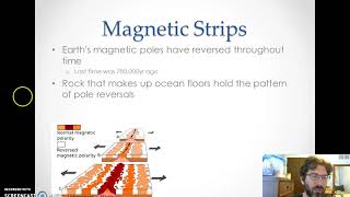 Evidence of Sea Floor Spreading [upl. by Raamal740]