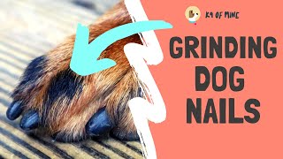 How to Grind Dog Nails With a Dremel [upl. by Dow]