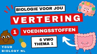 6 vwo  Vertering  1  Voedingsstoffen [upl. by Hercules]