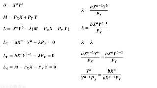 CobbDouglas Utility Demand Function is Homogenous to Degree Zero [upl. by Illona]