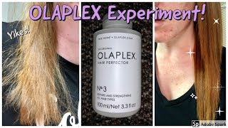 Olaplex No 3  HAIR EXPERIMENT [upl. by Avrenim116]