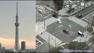 TOKYO Live Camera from Otemachi 東京・大手町のライブカメラ [upl. by Desdamona]