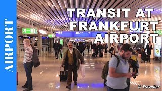 TRANSIT WALK AT FRANKFURT Airport FRA Terminal 1  Connection Flight Transfer Arriving amp Departing [upl. by Kathlene]