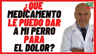 🔴 Que MEDICAMENTO Antiinflamatorio le puedo dar ami PERRO para el DOLOR 🔴 Muscular de Pata etc [upl. by Winny]