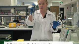 Using a singlechannel pipette [upl. by Torrin]