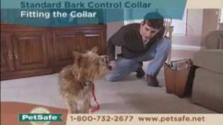 PetSafe Standard Bark Control Collar Tips [upl. by Nnyllatsyrc]