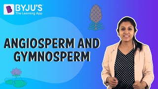 Difference Between Angiosperms And Gymnosperms [upl. by Ami]