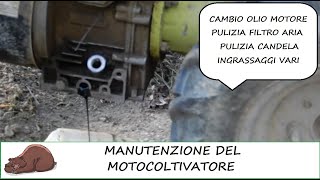 Manutenzione del motocoltivatore [upl. by Khalil]