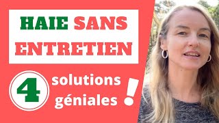 HAIE SANS ENTRETIEN  4 solutions géniales [upl. by Royal]