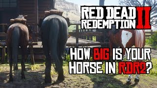 Red Dead Redemption 2 Horses  Size Comparison [upl. by Scevo]