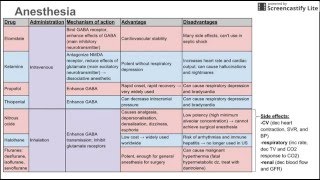 Anesthetics [upl. by Lillis]