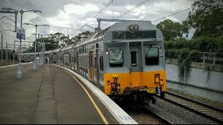 Sydney Trains Vlog 1295 Narwee [upl. by Navak]