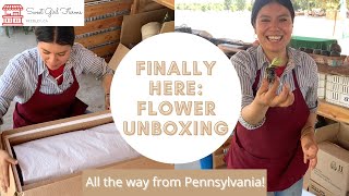 Farmer Bailey Flower Plug Unboxing Lisianthus [upl. by Herold]