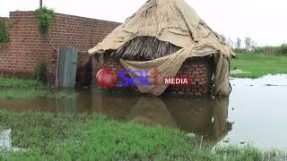 Amataba gasazeeko ebyalo e Kayunga [upl. by Harve]