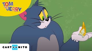 Die Tom und Jerry Show  Der Zauberzahn  Cartoonito [upl. by Leacim]