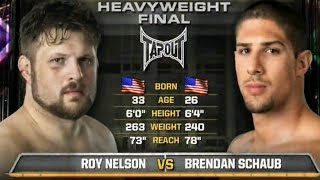 Roy Nelson vs Brendan Schaub TUF Season 10 Finale [upl. by Lawrence216]