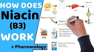 How does Niacin B3 Work  Pharmacology [upl. by Manbahs]