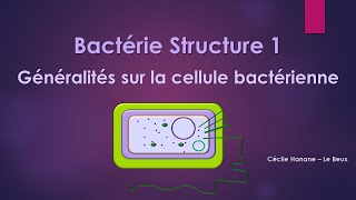 Bactérie Structure 1 BACTERIE [upl. by Hirsch]