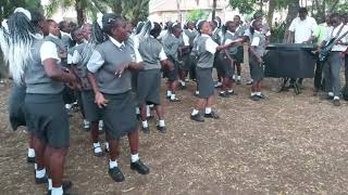 Taarab song Cheche by Sacred Heart High School Mombasa [upl. by Hgielra]