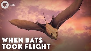 When Bats Took Flight [upl. by Fatimah]