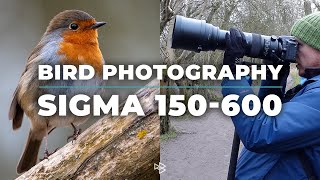 Bird Photography with Sigma 150600mm and Nikon D7500 [upl. by Sairacaz]