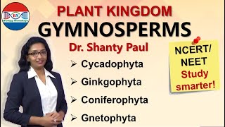 Gymnosperms  Plant kingdom [upl. by Garland]