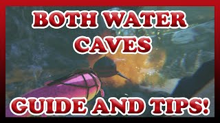 ARK  Both Water Caves  The Island  Guide and Tips  Official  Solo [upl. by Ddarb]