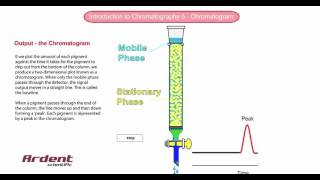 Introduction to Chromatography 5  Chromatogram [upl. by Talyah]