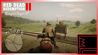 Red Dead Redemption 2 Weapons Expert 7 [upl. by Aguayo]